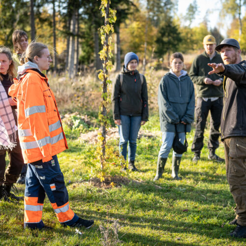 Guided tours of permaculture farms